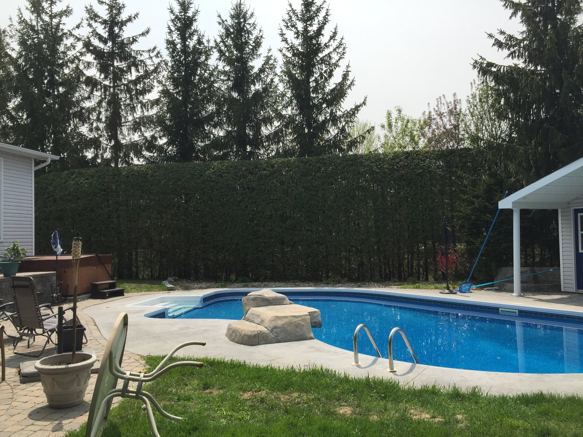 Hedge trimming along fence line